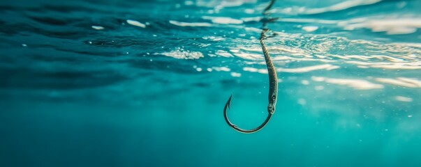 An underwater view shows a fishing hook suspended in blue water