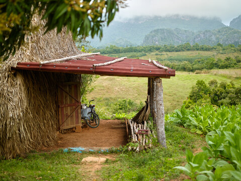 Authentic Tobacco drying hut in Vi&ntilde;ales