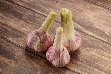 Young garlic heap for cooking