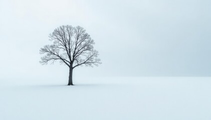 Fototapeta premium Solitary tree on a snow-covered white background, frozen lake, isolated, solitude