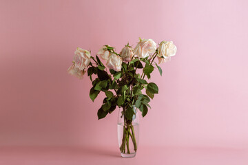 Bouquet of pale pink roses wilted gracefully in a glass vase against soft pastel background, exuding subtle romantic elegance.