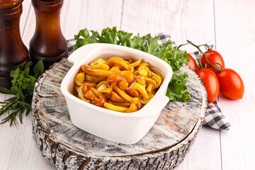 Marinated honey mushroom in the bowl