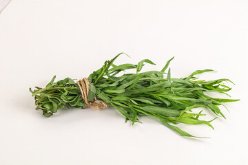 Green estragon branches for cooking