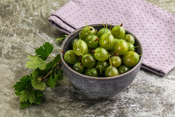 Ripe sweeet and juicy gooseberry