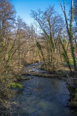 rivière sauvage , la Versoix en hiver