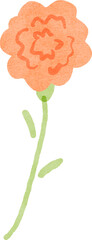 Hand drawn orange carnation flower