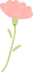 Hand drawn carnation flower