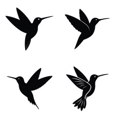 Hummingbird set silhouette vector illustration 
