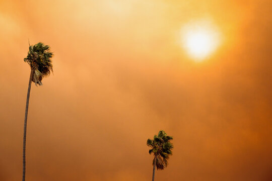 Skies During California Wildfire