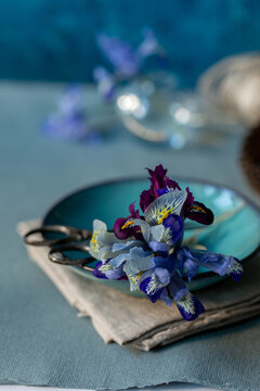 Iris reticulata bouquet