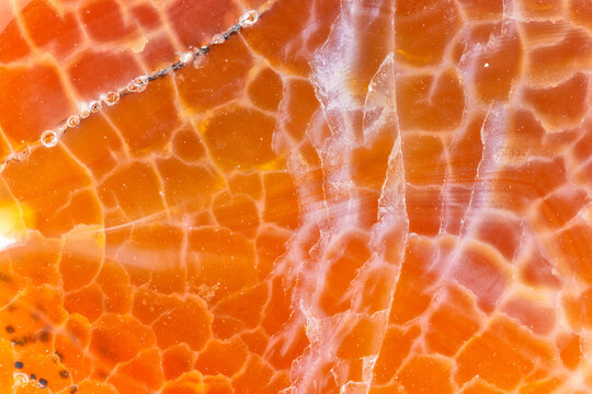 Polished Fire Agate Macro  