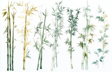 Obraz premium Beautiful Bamboo Illustration with Clean Lines on White Background Featuring Green and Gold Gradients