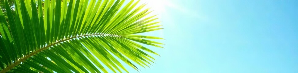 Obraz premium Close-up of lush green palm leaves swaying in the breeze against a clear sunny sky, green, sunny
