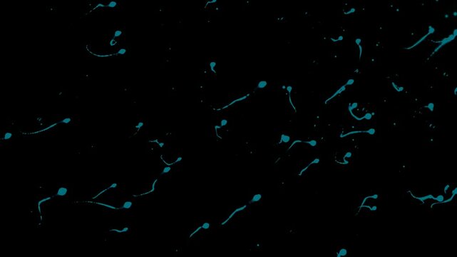 sperm race animation on black background 