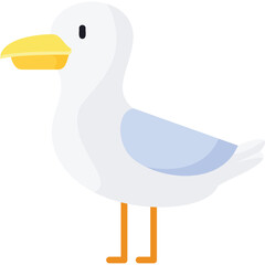 Seagull Illustration