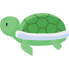 Turtle Illustration