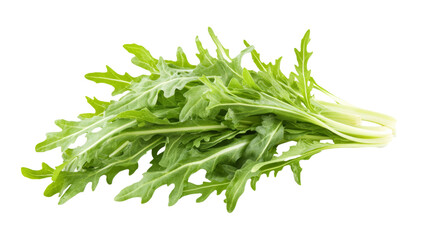 Fresh green arugula leaves isolated on transparent background