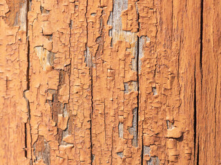 劣化してひび割れた茶色の塗料が塗られた丸太01