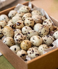 Obraz premium quail eggs in box