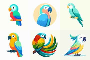 collection of parrot bird illustration
