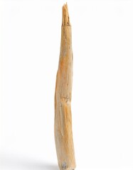 Close-up of a broken, light-brown, naturally-weathered piece of wood against a white background. The texture is rough and shows signs of age and wear.