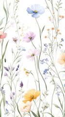 Watercolor Illustration set of Pink cosmos and dry flowers on a white background,spring summer nature,Vibrant pink cosmos blooming,Children's card,banner,raindrops drawn by hand.