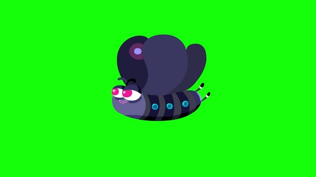 Cartoon butterfly light colors drk black navy wings on greenbox. Cute flying character isolated animation. Green screen, seamless loop.