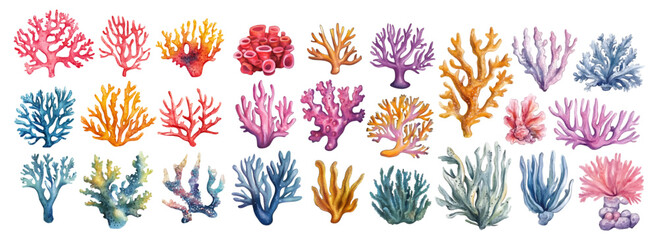 Big set of watercolor corals on a transparent background. Watercolor sea corals, reefs and algae on a transparent background. Concept of marine and ocean plants. Vector illustration. © Narin