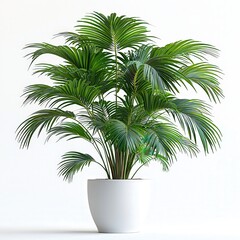 Fototapeta premium Lush green areca palm in white pot: elegant indoor plant for modern interiors