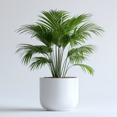 Obraz premium Elegant green indoor palm in minimalist white pot on light background