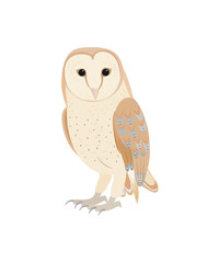 かわいいメンフクロウ
