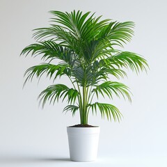 Vibrant potted palm plant against minimalist white background