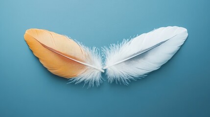 A handshake formed by two feathers, representing a soft agreement in business