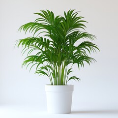Fototapeta premium Vibrant green palm plant in white pot against a minimalist background