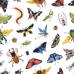 Endless background with different insects. Repeatable pattern of exotic bugs, beetles, bumblebees, dragonflies, grasshoppers, various tropical butterflies and moths. Flat seamless vector illustration
