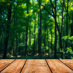 Fototapeta premium Background, Tree, Leaves, Nature, High Detail Color For Product