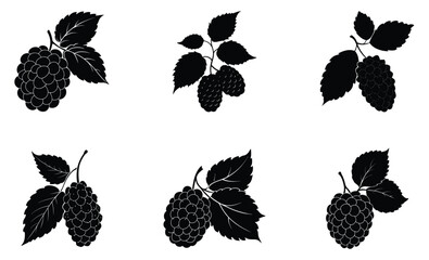 Mulberry silhouette vector