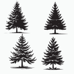 Pine Tree Silhouette Vector | Evergreen Forest Illustration PNG & SVG Clipart