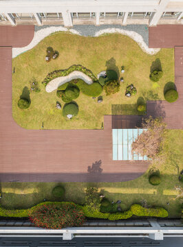 Aerial View of a Harmonious Rooftop Garden with Greenery and Str