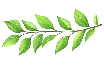 Fototapeta premium Lush Green Branch with Vibrant Leaves Botanical Illustration for Design