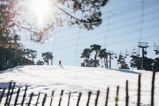 Solitary skier on snowy slope with trees and ski lifts