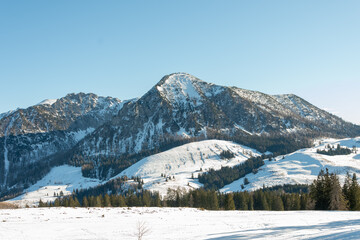 Fototapeta premium Picturesque winter alpine landscape with snow-capped mountains covered with coniferous forests under a bright blue sky.