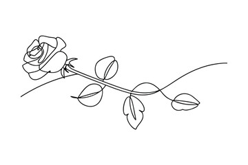 Fototapeta premium Elegant SingleLine Rose Drawing Minimalist Botanical Art