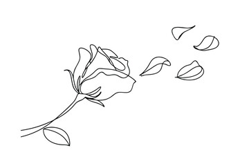 Single line Rose Drawing, Petals Falling, Elegant, Minimalist, Art, Line Art, Botanical Illustration,