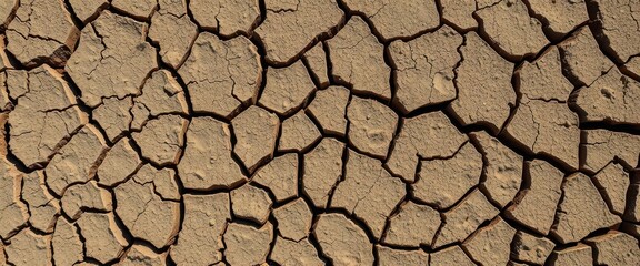Dry cracked earth, network of fissures, abstract texture, nature, weathered