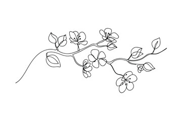 Elegant Line Art Drawing of Cherry Blossom Branch Flowers