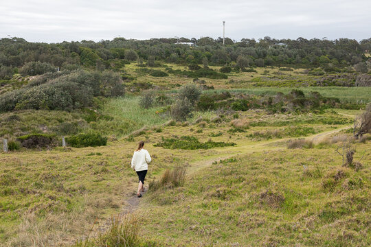 Exploring the Wonders of Coastal Nature in Merimbula New South Wales