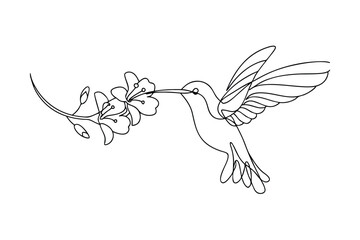 Obraz premium Elegant Hummingbird Line Art Floral Nectar, Bird in Flight