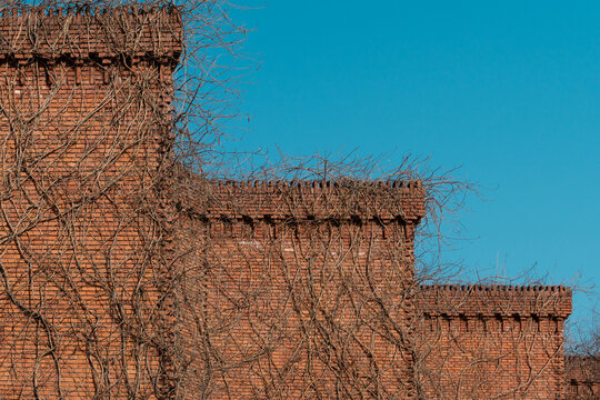 Modern building facade - Powered by Adobe