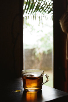 Cup of tea against the window